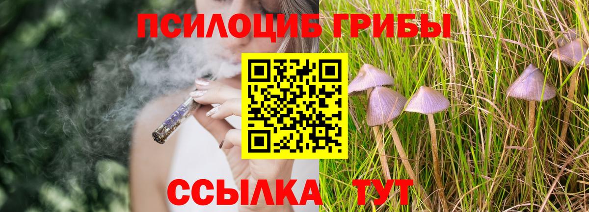 Псилоцибиновые грибы Cubensis  Псилоцибиновые грибы мухоморы  Электрогорск  где продают   Вход с VPN 